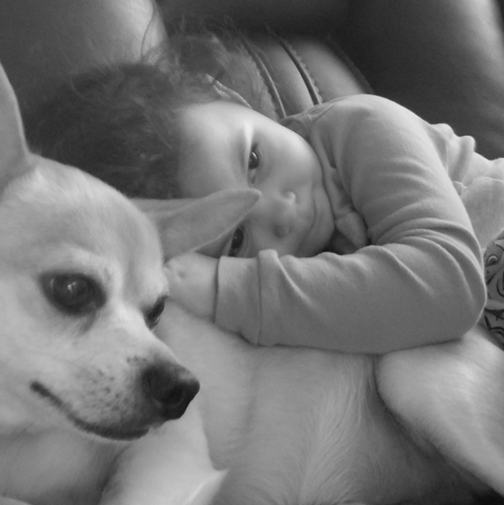 Meet your Posher, Shawna